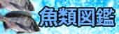 魚類図鑑