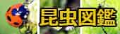 昆虫図鑑