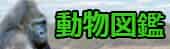 動物図鑑