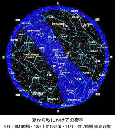 夏から秋の星座図